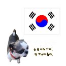 까까멍냥 | 멍냥의민족! {소사점}/집앞에 반려용품 ● 무인 24시 편의점 ●이 생기다니.. !!(♡)