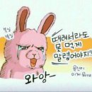 남정오토 | 아이언 코리아 영남지역 제 4회 정기 캠프 후기 feat.청도지오캠핑장