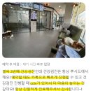 서울심장동물병원, 선천성 심장질환에 대해 알려드립니다.