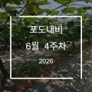 가온적산