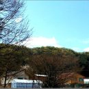 산골네