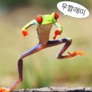 세마이 - 금정구 장전로12번길 30 | 세마이