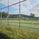 배산체육공원 족구장 이미지