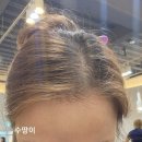 평촌어바인퍼스트 210동 앞 사거리 | 호계동미용실, 휴이엠헤어 어바인퍼스트점 뿌리염색과 커트 후기