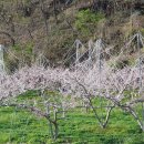 신성중학교 이미지