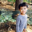 산골농원 이미지