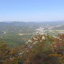 개굴개굴 Daum카페