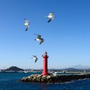 성산포사랑 이미지