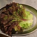 식껍구로디지털단지역점 이미지