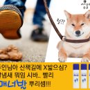 846006 이미지