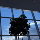 츄츄 | 3주년 앤데이 후기 츄츄