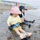 🌊 검은 모래밭에서 즐거운 여름 추억 만들기 🌊 이미지