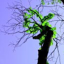 상신농장 이미지