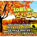 10월에 어느 멋진날에 이미지