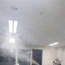 24시특수방역 네이버블로그