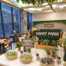 정가네삼시세끼 이미지