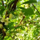 송아리농장 이미지