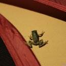 서당골캠핑장 이미지