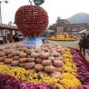 무주농특산물 이미지