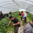 주철농장 이미지