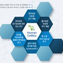 바이휴먼주 이미지