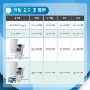렌탈요정