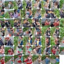 회천합기도멀티짐 | [회천신도시학원/회천합기도/덕계리학원/덕계리합기도]무예둥이들의 첫 봄소풍! 딸기체험~~~