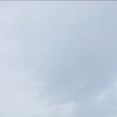 함라마트 이미지