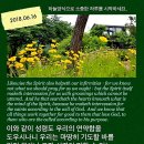 아빠수산