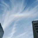 24시 잠실온 동물병원 이미지