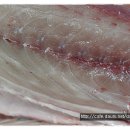 대일2농장 이미지