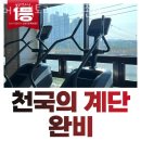 머슬365 이미지
