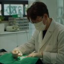 미라인치과의원 이미지