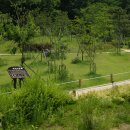 부천자연생태공원 이미지