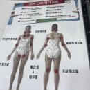 뷰스킨&숲칼프 안양호계점 | 뷰스킨숲칼프 안양호계점, 안양호계동피부관리 등림프관리 후기