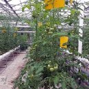 수광농장 이미지