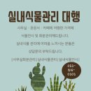 법인계수나무 이미지