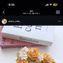 아논스 이미지