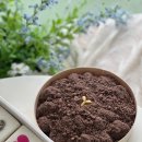 블라써니앙금플라워케이크