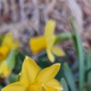 말구리농장 이미지