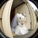 2027 결혼준비 기록 ④ 본식스냅 (엔유이포토) 아이폰 스냅 (더베스트데이) 계약 후기