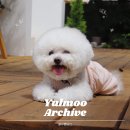 율무네애견 | 율무와 카페 데이트 사진.zip