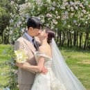 밀드플레 이미지