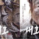 대호컴퓨터 이미지