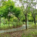 호수부분정비 이미지