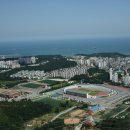 동해-단속-14 이미지