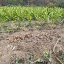 햇살농장 이미지