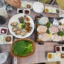 뉴힐링캠프