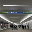 (사)참좋은친구들 | 한국 여행기 + 워홀 6개월 후기