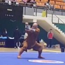 우슈태극권 | 251101 보은 우슈대회 참가 후기